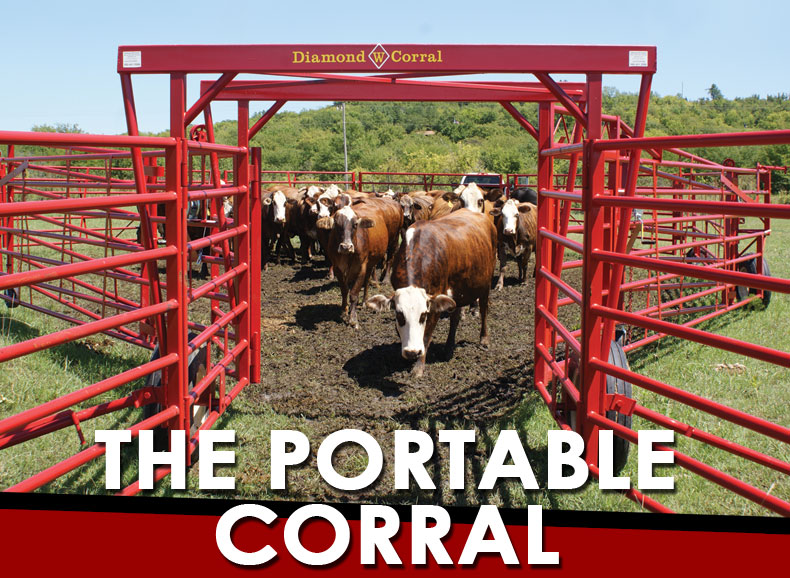 The Portable Corral for Cattle and Bulls